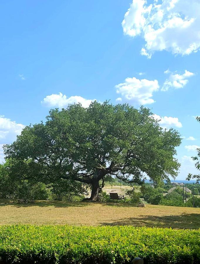 Hill Country Haute N Haus Relax And Renew Fischer ภายนอก รูปภาพ
